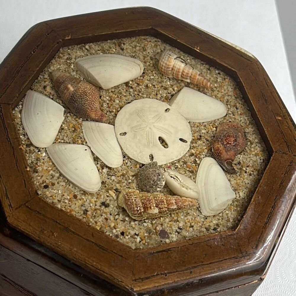 Handcrafted Sea Shell and sand epoxy wood trinket box.